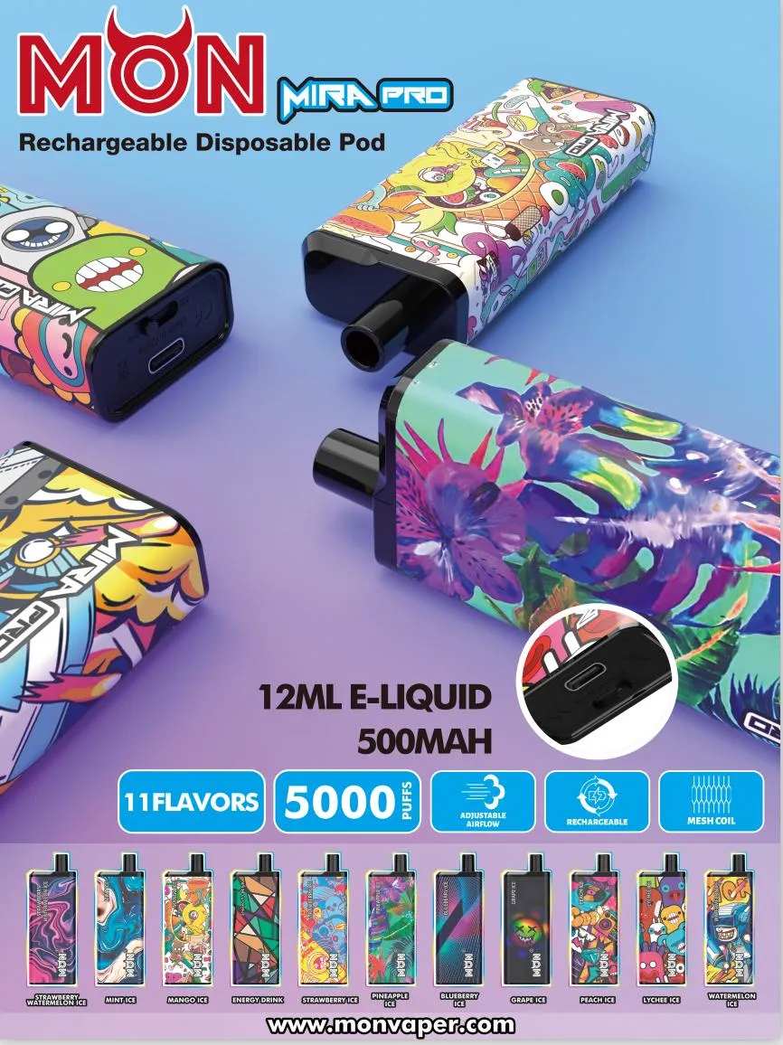 2022 Popular Bang Bc5000 5%Nic Salt 5000puffs Rechargeable Disposable Wholesale Price Vape Box