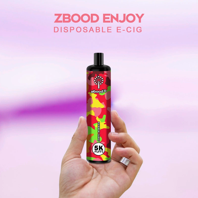 Zbood Customize Enjoy 5000 Puff Type C Disposable Vape Pen Pod Gear 10000 7000 Puff E Cigarette Vape