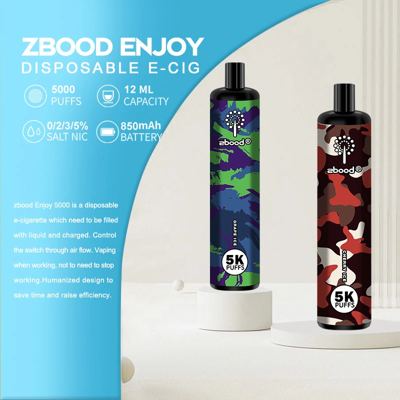 Zbood Customize Enjoy 5000 Puff Type C Disposable Vape Pen Pod Gear 10000 7000 Puff E Cigarette Vape